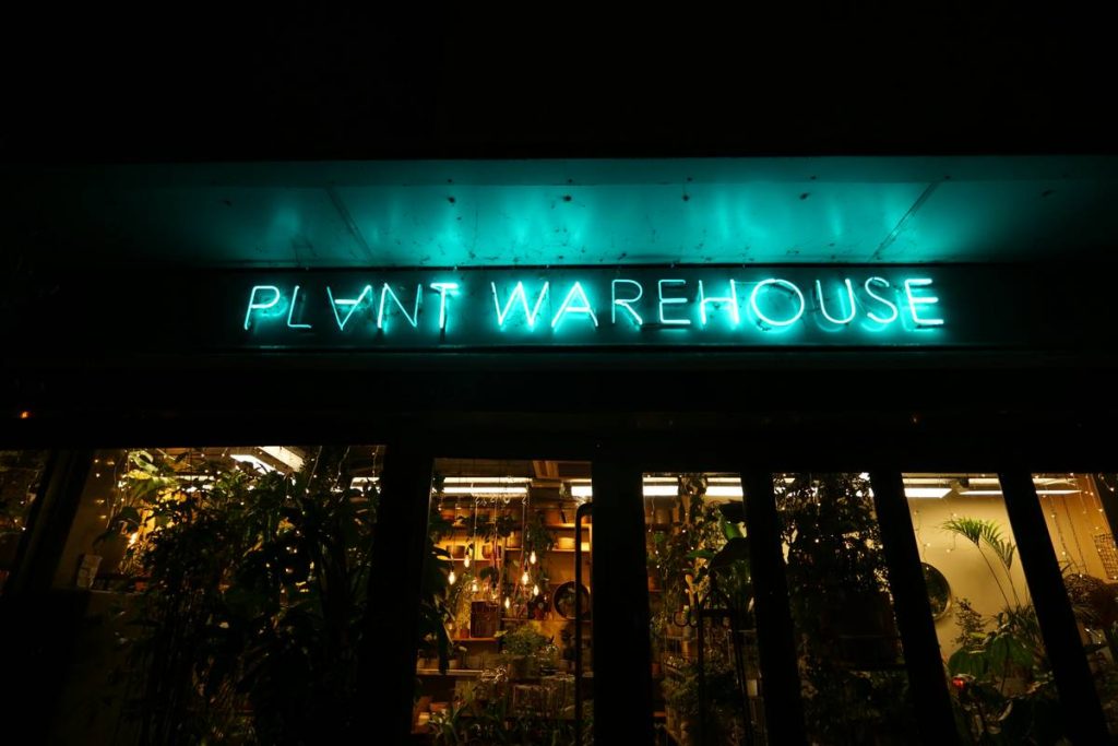 Why Your Home’s Personality Is Fading in the Dark: The Ultimate Guide to LED Lighting for Signage